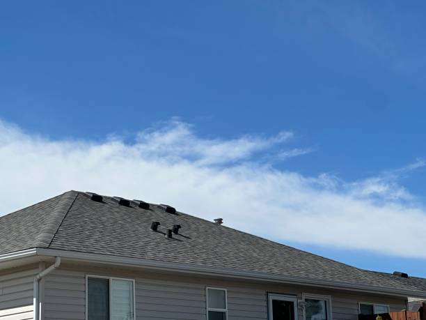 Best Roof Moss and Algae Removal  in Mill Creek, WA